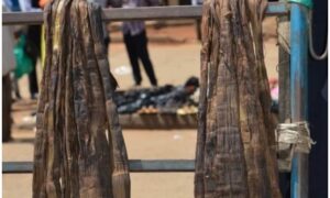 Kamalea, Kamalewa, Kamaleya, ilea,